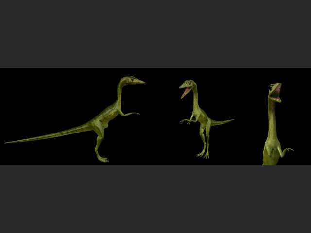 Compsognathus "Compy"