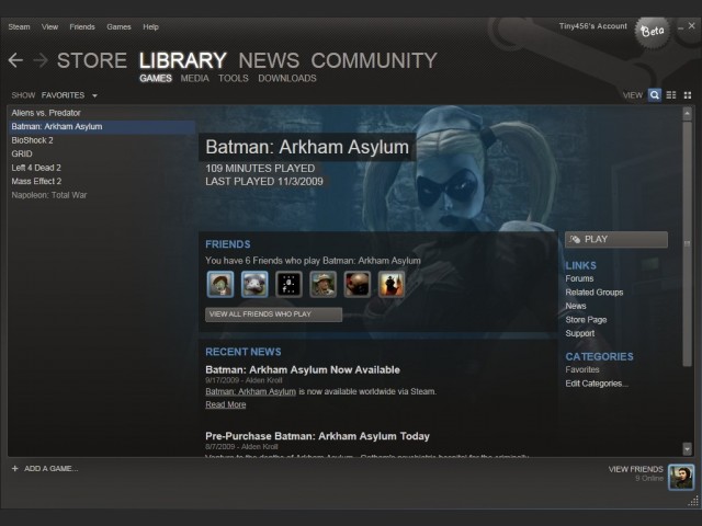 Steam 2010 UI-Update: Spieleansicht
