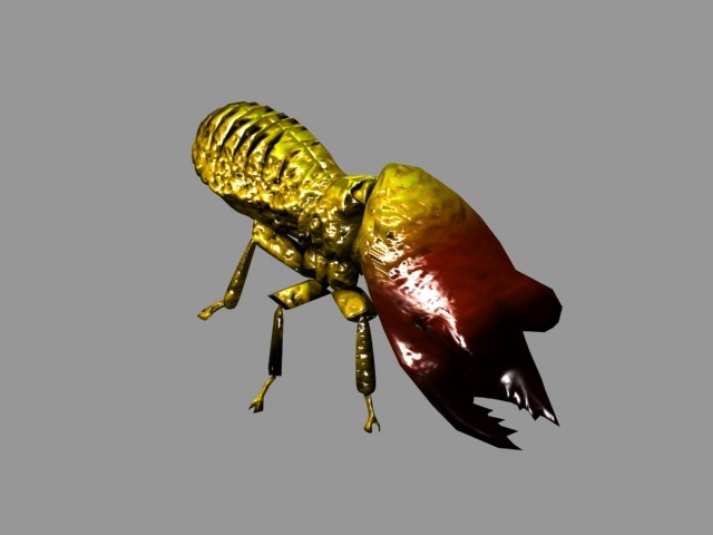 WIP heavy soldier termite