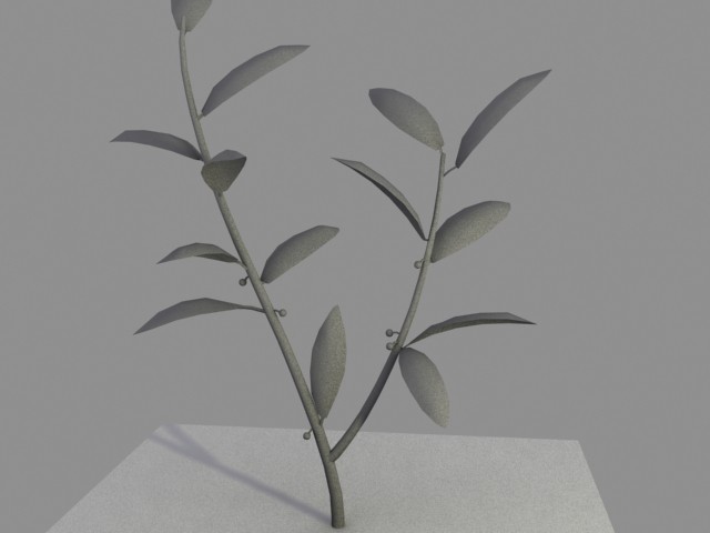 Koka-Pflanze II