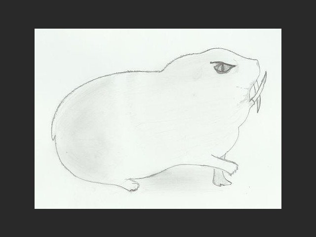 Guinea Pig Concept